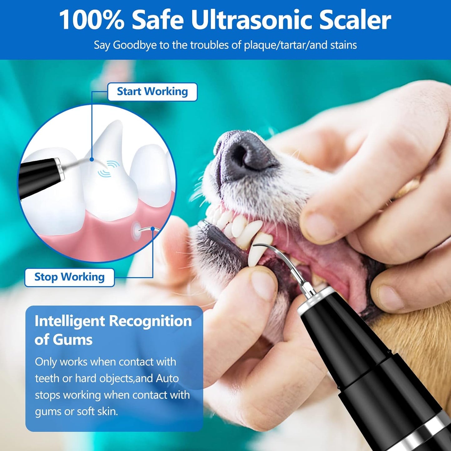 Ultrasound Plaque Remover for Dogs and Cats - Teeth Cleaning Set for Tartar and Stains